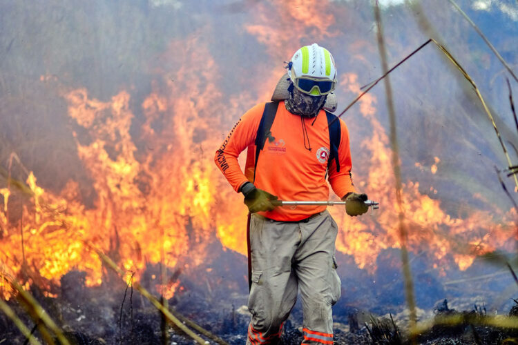 Gobierno de Chiapas emite exhorto ambiental a los ayuntamientos para reducir riesgos de incendios forestales