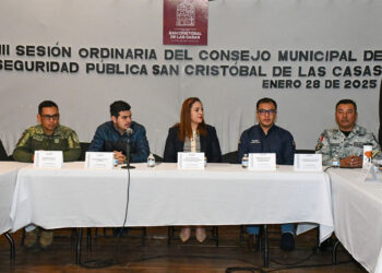 Anuncia Fabiola Ricci la campaña ‘Sí al Desarme, Sí a la Paz’