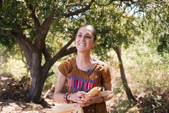 Claudia Sheinbaum envía al Congreso de la Unión reforma constitucional para proteger el maíz mexicano