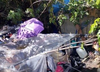 Desalojan invasión a humedales de Chiapas