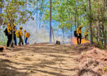 Se realiza con éxito quema prescrita en la Reserva de la Biosfera La Sepultura