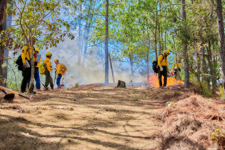 Se realiza con éxito quema prescrita en la Reserva de la Biosfera La Sepultura