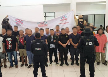 Recuperan la Selva Lacandona