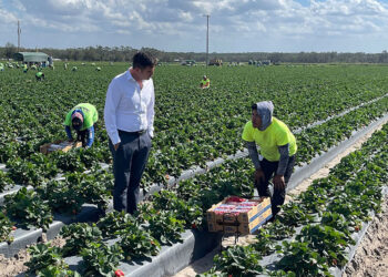 Titular de SEyT, visita los campos agrícolas ‘Pacific Farms’ en Florida