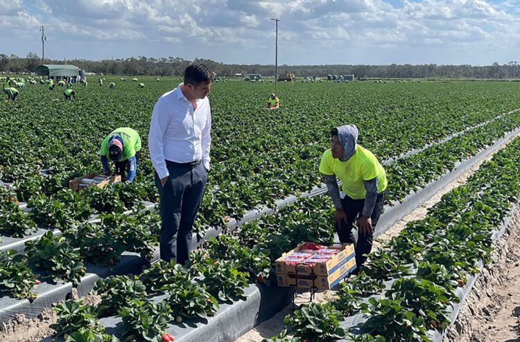 Titular de SEyT, visita los campos agrícolas ‘Pacific Farms’ en Florida
