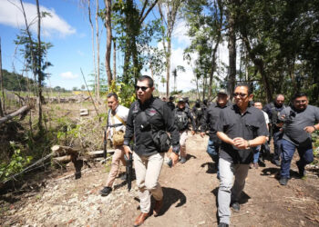 Blindan con autoridades estatales de seguridad la Selva de Chiapas