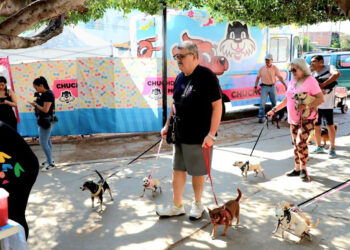 Chucho Móvil llega al Barrio Niño de Atocha con esterilización, vacunación y desparasitación gratuita