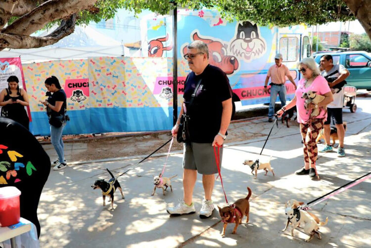 Chucho Móvil llega al Barrio Niño de Atocha con esterilización, vacunación y desparasitación gratuita