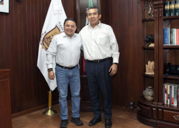 El presidente del Poder Judicial se reúne con el consejero electoral del INE