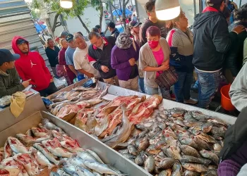 Profeco protegerá y promoverá derechos de los consumidores en Semana Santa