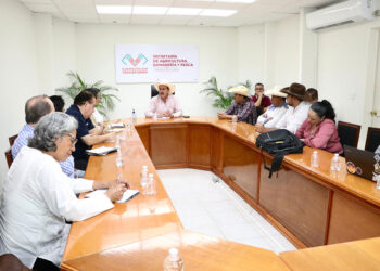 SAGyP impulsa reactivación de la producción de maíz en Chiapas