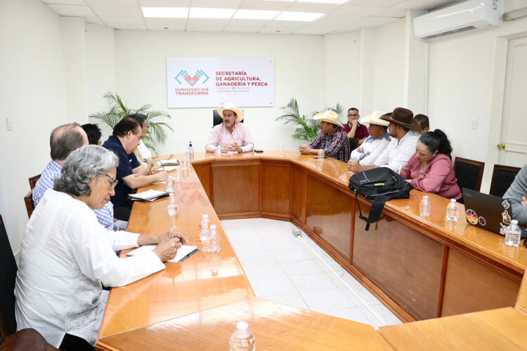 SAGyP impulsa reactivación de la producción de maíz en Chiapas