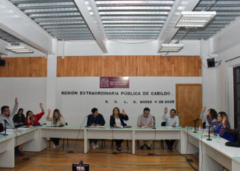 Aprueban Bando Solemne del Comité Municipal de la Feria de la Primavera y de la Paz, Edición 155, Año 2025