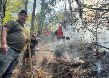 Controlan incendio forestal en la comunidad de El Aguaje