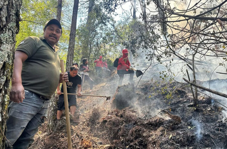 Controlan incendio forestal en la comunidad de El Aguaje