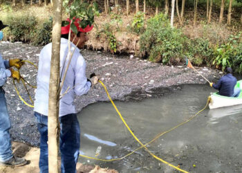 Ayuntamiento de San Cristóbal realiza limpieza del cauce del Río Amarillo