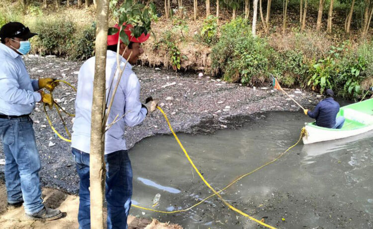 Ayuntamiento de San Cristóbal realiza limpieza del cauce del Río Amarillo