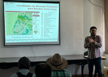 Gobierno de Chiapas impulsa restauración de microcuencas para un futuro sostenible