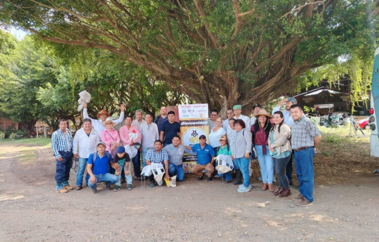 Iniciaron prácticas de campo en apiarios de Tapachula