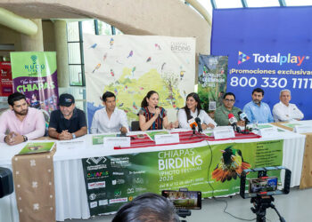 Presentan la 6ª edición del Chiapas Birding and Photo Festival 2025