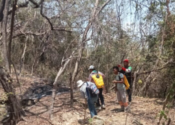 Chiapas desciende al lugar 12 en incendios forestales a nivel nacional