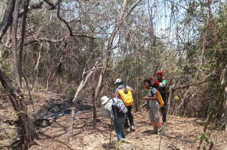 Chiapas desciende al lugar 12 en incendios forestales a nivel nacional