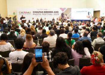 Eduardo Ramírez proyecta a Chiapas como destino turístico de clase mundial