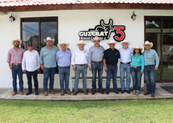 Chiapas consolida liderazgo en genética ganadera con exportación de sementales a Nicaragua: SAGyP