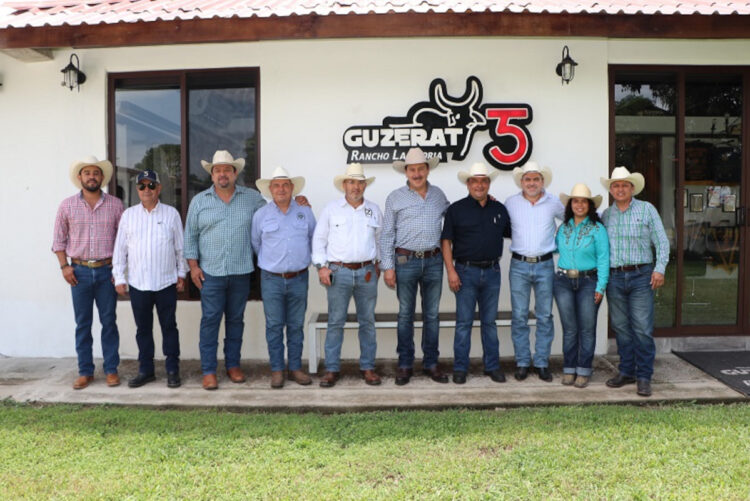 Chiapas consolida liderazgo en genética ganadera con exportación de sementales a Nicaragua: SAGyP