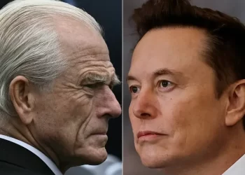 Musk se enfrenta al asesor comercial de Trump: “Es más tonto que un saco de ladrillos”