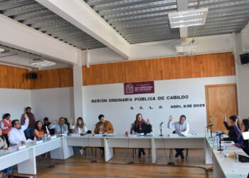 Aprueban instauración oficial de la Reina Representante de las Personas con Discapacidad