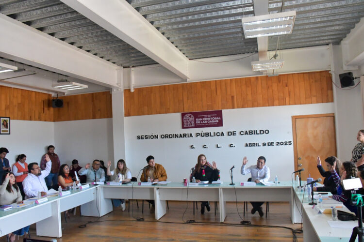 Aprueban instauración oficial de la Reina Representante de las Personas con Discapacidad