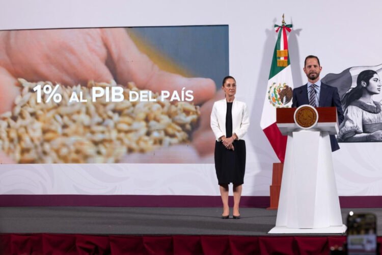 Grupo Modelo invertirá 3 mil 600 mdd entre 2025 – 2027 como parte del Plan México