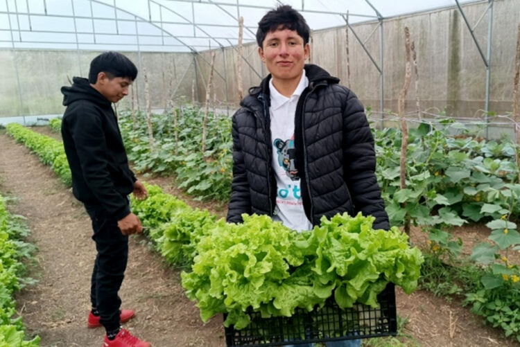 CECyT 43 La Laguna realiza su primera producción de lechuga hidropónica