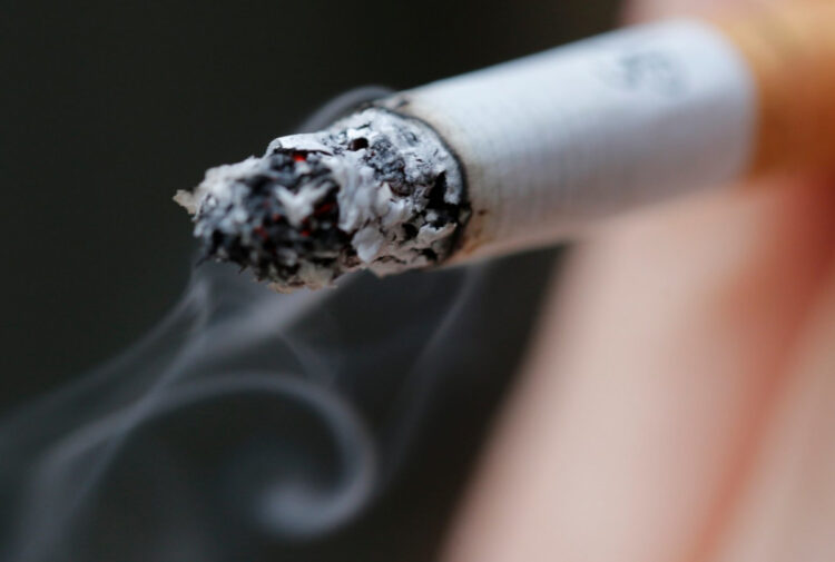 Proponen crear cigarros con colillas biodegradables; 14 millones fuman