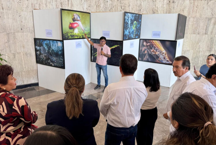 Inaugura Congreso exposición ‘Chiapas a través de la retina’