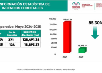 Chiapas, a la baja en incendios forestales
