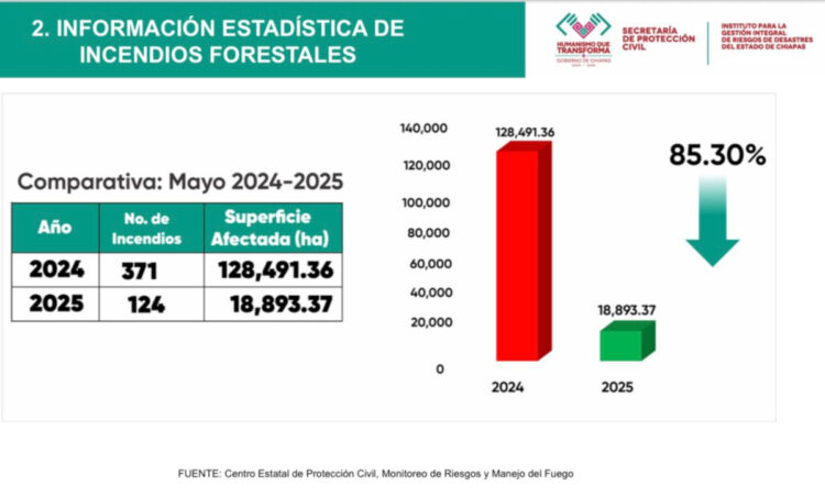 Chiapas, a la baja en incendios forestales