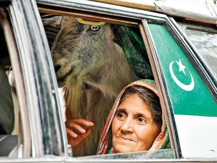 India y Pakistán mantienen la tregua, pese a violaciones