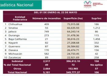 Chiapas, fuera de las 10 entidades con mayor superficie afectada por incendios forestales en 2025