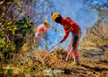 Temporada de prevención y combate de incendios mantiene tendencia positiva