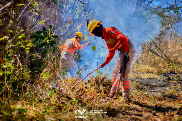 Temporada de prevención y combate de incendios mantiene tendencia positiva