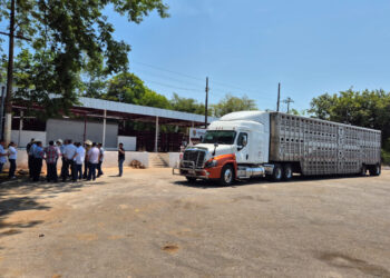 Se refuerzan disposiciones para control sanitario en la movilización de ganado en el sur del país: SAGyP