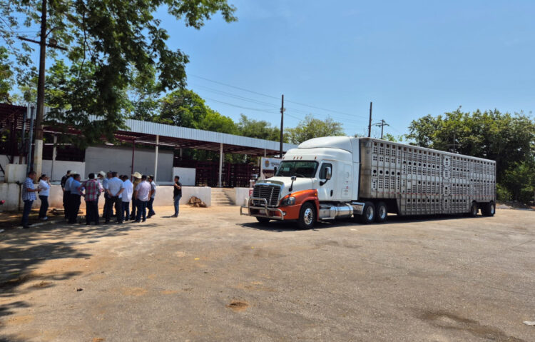 Se refuerzan disposiciones para control sanitario en la movilización de ganado en el sur del país: SAGyP