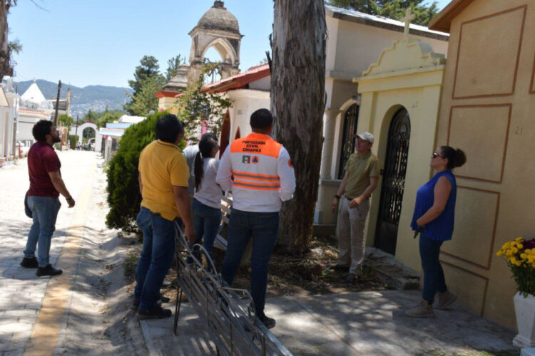 Atienden el arbolado en el Panteón Municipal para proteger a la ciudadanía