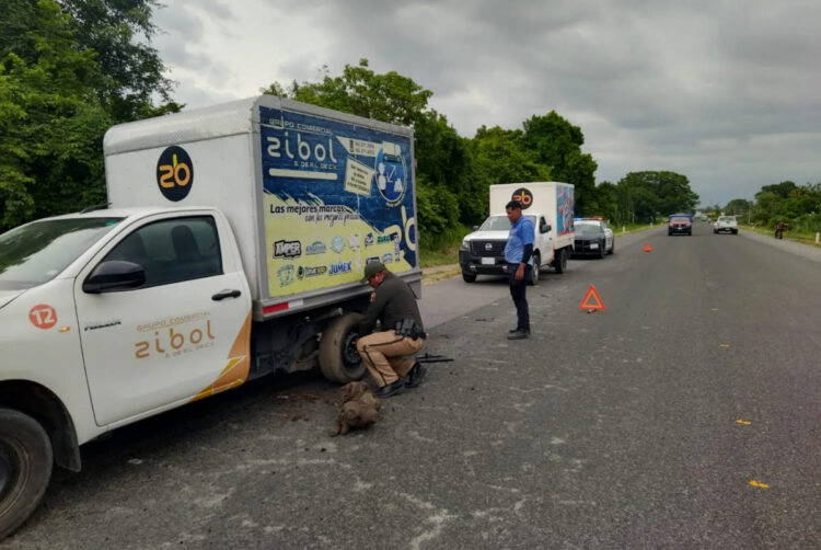 SSP evita situaciones de riesgo y garantiza seguridad vial a la ciudadanía de Chiapas