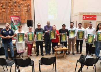 Desarrollan aplicación web ‘Museos Tuxtla’