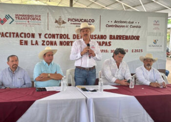 Gobierno de Chiapas refuerza acciones contra el gusano barrenador