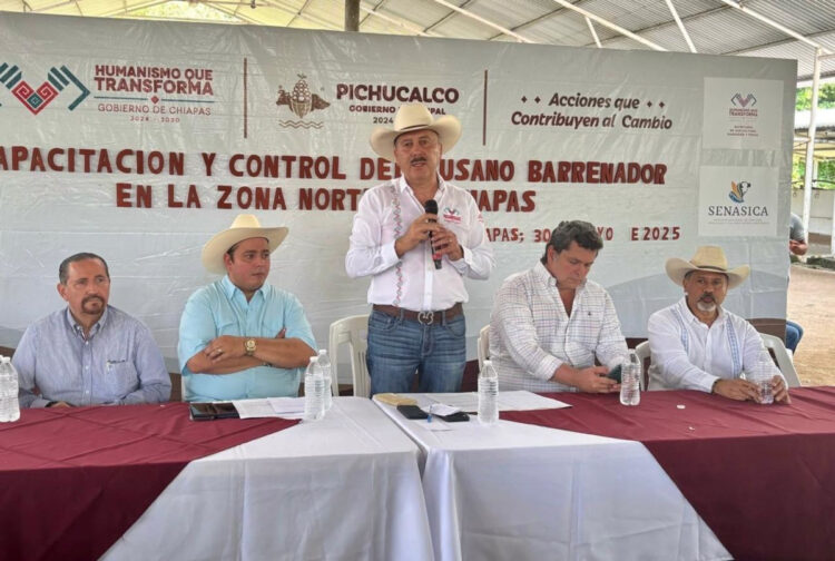 Gobierno de Chiapas refuerza acciones contra el gusano barrenador