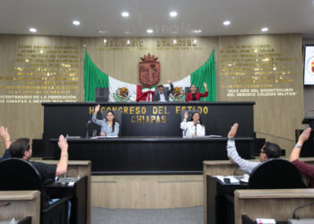 Analiza Congreso Ley para la protección y cuidado de animales de compañía